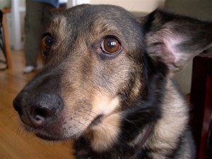 2007-12-22_0082