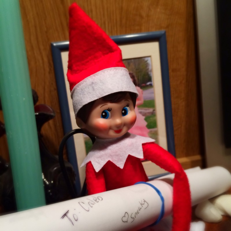 Preview - Our new scout elf, later named Mayonnaise after some serious debate. Stinky was the initial suggestion.