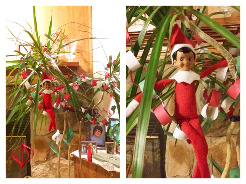 Night Two: Sneaky decorates one of Grammy's plants like a Christmas tree.