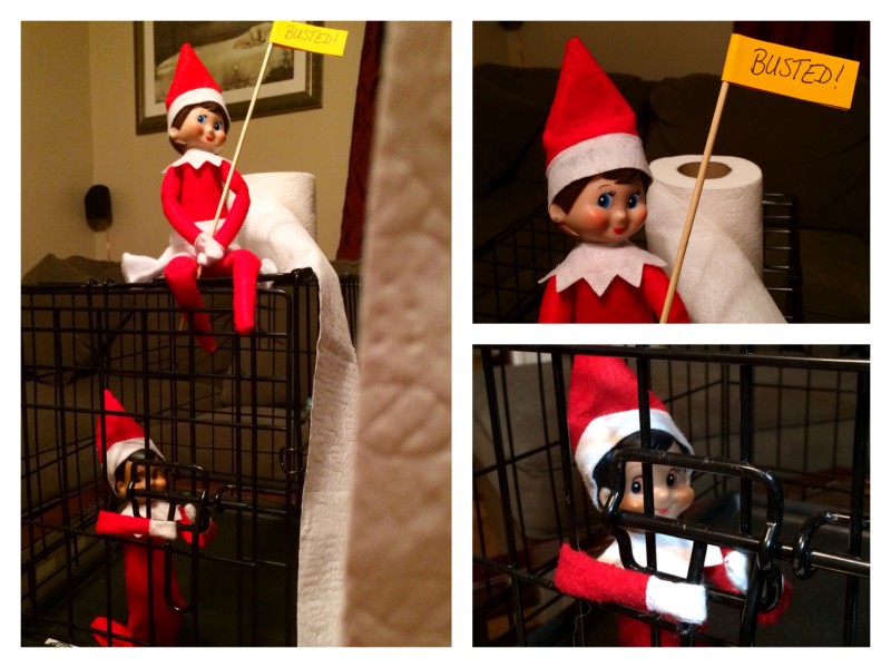 Night Fifteen: Mayonnaise apparently was not a fan of Sneaky's idea to toilet paper the living room. What a good elf!