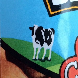 Baby Cow